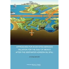 Approaches for Ecosystem Services Valuation for the Gulf of Mexico After the Deepwater Horison Oil Spill: Interim Report