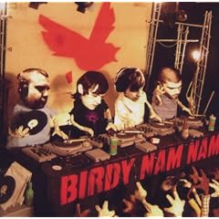 Birdy Nam Nam
