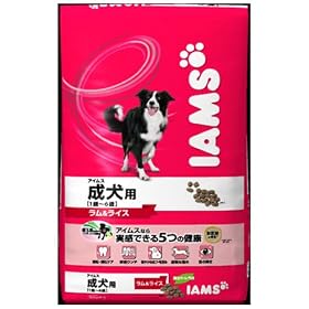 �A�C���X �����p ���������C�X 12kg