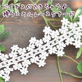 �o�C�A�X�ɂȂ����Ⴄ/�ȃP�~�J�����[�X 5�Z���`�� 5���[�h�i��4.5M)