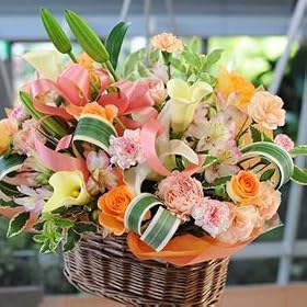 �y���������z�A�����W�����g �n�b�s�[���[�Y �I�����W ��؂ȕ��ւ̑��蕨�Ɂ�@�ԑ���ԍH�[ �G�[�f�����C�X �t�����[�M�t�g