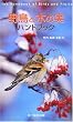 �쒹�Ɩ؂̎��n���h�u�b�N