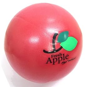 ���[�W�F���g�E�t�@�[�C�[�X�g �t���[�c�~�j�\�t�g�o���[�� 20cm �A�b�v�� 39605