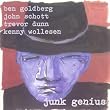 Junk Genius
