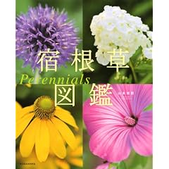 �h�����}�� Perennials