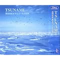 TSUNAMI �K�c���S���I���S�[���̐��E FX-44