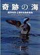 ��Ղ̊C�\���˓��C�E��ւ̐������l���\