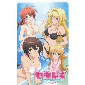 �Z�L���C�bDVD�S���w�����T �e���J�bSEKIREI