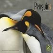 Penguins 2010 Calendar (Wall Calendar)