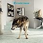 Grinderman 2 ~ �O���C���_�[�}��