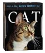 Cat Gallery 2011 Calendar (Gallery Calendar)