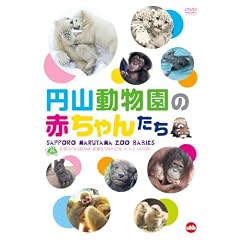 �D�y�s�~�R������ �J��60���N�L�O�I�t�B�V����DVD�~�R�������̐Ԃ���񂽂�  SAPPORO MARUYAMA ZOO BABIES