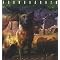 �uTelephantasm�v SOUNDGARDEN�A4��ނ̃x�X�g�Ղŕ����i�����\�ȁuBlack Rain�v���^�j�B