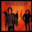 Sonic Flower Groove