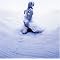 �S��̔��w�ō\�z���ꂽ�Ǎ��̂S�o���h"AION�ELUNA SEA�ERABBIT�ESHOW-YA"