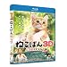 �f�� �˂��΂� [Blu-ray]