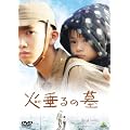 �ΐ���̕� [DVD]