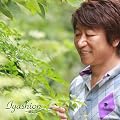 �Iyashion~������~� / ���a�F