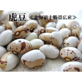 �Փ�500����k�C���\���эL�Y�g������V���I
