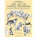 The Art of Animal Drawing: Construction, Action Analysis, Caricature (Dover Art Instruction)