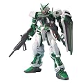 1/100 �K���_���A�X�g���C �O���[���t���[�� (�@����m�K���_��SEED DESTINY)