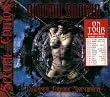 Puritanical Euphoric Misanthropia