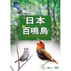 �V���t�H���X�gDVD ���{�S�� �f���Ɩ����Ŗ����ޖ쒹�}��