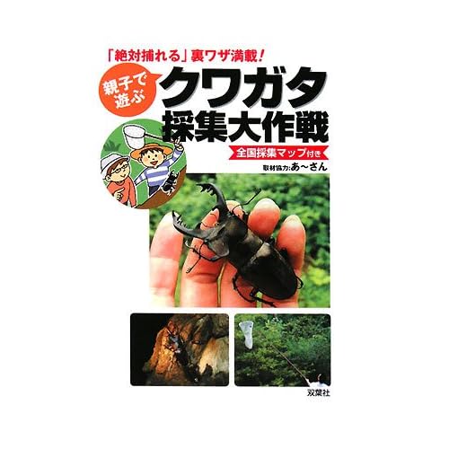 クワガタ採集大作戦