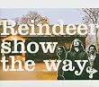 Reindeer Show the Way
