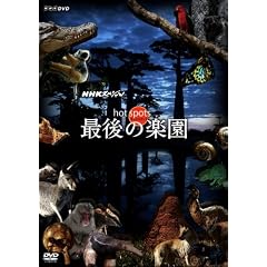 NHK�X�y�V���� �z�b�g�X�|�b�g �Ō�̊y�� DVD-BOX