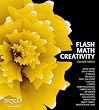 Flash Math Creativity
