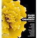 Flash Math Creativity
