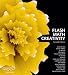 Flash Math Creativity