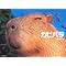 �J�s�o���Ɋւ��鏑�ЂƂc�u�c