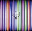 DECIMO X ANIVERSARIO DE MISIA~THE TOUR OF MISIA 2008 EIGHTH WORLD+THE BEST DJ REMIXES~(DVD�t)
