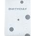 �gBIRTHDAY�h Official Guide Book + Sound Track