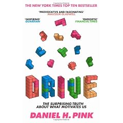 Drive: The Surprising Truth about What Motivates Us