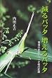 ����o�b�^������o�b�^�\���̕ω��ƃo�b�^���̕ϑJ (HSK Books)