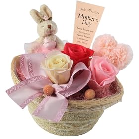 ��̓��M�t�g�uMother's Day �n�s�l�X�v�i�L�������E���r�b�g�j
