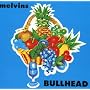Bullhead