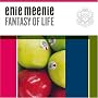 Fantasy Of Life