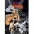 Wildflower Tour: Live in New York [DVD] [Import]