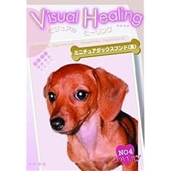 VisualHealing�~�j�`���A�_�b�N�X�t���h(�u���E��)  [4 [�����^������] [DVD]