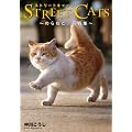 STREET CATS -�̂�˂��B�ʐ^�W-