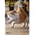 STREET CATS -�̂�˂��B�ʐ^�W-