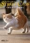 STREET CATS -�̂�˂��B�ʐ^�W-