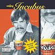 Enjoy Incubus