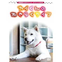 �Ó쓮���v���_�N�V���� �I�t�B�V����DVD �J�C����̂����炭���C�t