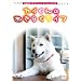 �Ó쓮���v���_�N�V���� �I�t�B�V����DVD �J�C����̂����炭���C�t