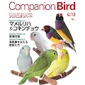 Companion Bird No.13 (2010)�\�������Ɗy�������K�ɕ�炷���߂̏�� (SEIBUNDO Mook)